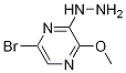 1-(6-broMo-3-Methoxypyrazin-2-yl)hydrazine CAS#: 1334135-54-4