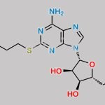 Cangrelor Impurity 1 CAS#: 163706-51-2