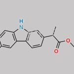 Carprofen EP Impurity G CAS#: 52262-89-2