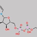 Citicoline IP Impurity A CAS#: 3416-25-9