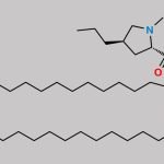 Clindamycin 2,4-Dipalmitate CAS#: N/A