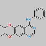 Didesmethyl Erlotinib CAS#: 183321-84-8