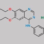 Erlotinib Impurity 21 CAS#: 2055841-66-0