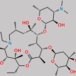 Pseudogamythromycin CAS#: 92594-48-4