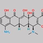 Minocycline Impurity 17 CAS#: 17807-43-1