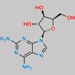 Nelarabine Diamine Impurity CAS#: 19768-89-9