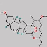 Spinosyn G CAS#: 132016-82-1