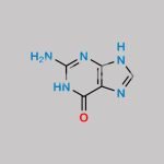 Valaciclovir EP Impurity A CAS#: 73-40-5