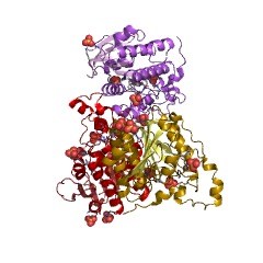 Example Structure of uronate dehydrogenase EC#: 1.1.1.203