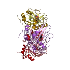 Example Structure of (5R)-carbapenem-3-carboxylate synthase EC#: 1.14.20.3