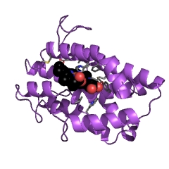 Example Structure of heme oxygenase (biliverdin-producing) EC#: 1.14.99.3