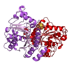 Example Structure of nitrogenase EC#: 1.18.6.1