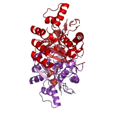 Example Structure of phosphooxymethylpyrimidine kinase EC#: 2.7.4.7