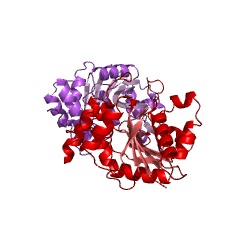 Example Structure of D-ribitol-5-phosphate cytidylyltransferase EC#: 2.7.7.40