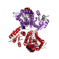 Example Structure of diguanylate cyclase EC#: 2.7.7.65