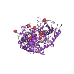 Example Structure of polyribonucleotide nucleotidyltransferase EC#: 2.7.7.8