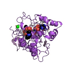Example Structure of alcohol sulfotransferase EC#: 2.8.2.2