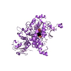 Example Structure of ornithine decarboxylase EC#: 4.1.1.17