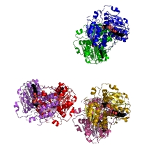 Example Structure of cystathionine beta-synthase EC#: 4.2.1.22