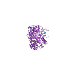 Example Structure of methylcysteine synthase EC#: 4.2.1.23