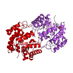 Example Structure of 2-dehydro-3-deoxy-L-arabinonate dehydratase EC#: 4.2.1.43