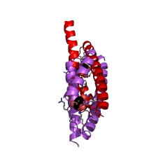 Example Structure of prephenate dehydratase EC#: 4.2.1.51
