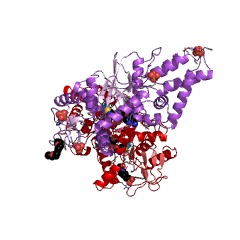 Example Structure of L-cysteine:1D-myo-inositol 2-amino-2-deoxy-alpha-D-glucopyranoside ligase EC#: 6.3.1.13